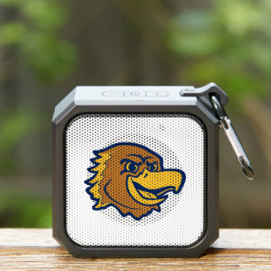 Marquette Golden Eagles Logo Design Bluetooth Speaker