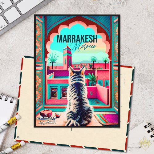 Marrakech Morocco Cat Travel Tourism Souvenir Postcard