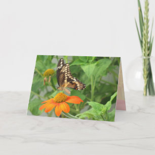 Marriage - As Beautiful as the Butterfly (a) Card