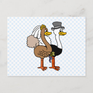 Married Ostrichs Postcard