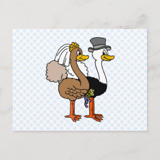Married Ostrichs Postcard