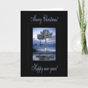 Marry Christmas & A Happy New Year Holiday Card
