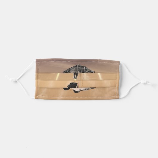 Mars 2020 Rover Adult Cloth Face Mask (Front, Folded)
