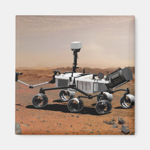 Mars Science Laboratory 2 Magnet