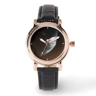 Mars Science Laboratory Aeroshell Capsule 2 Watch