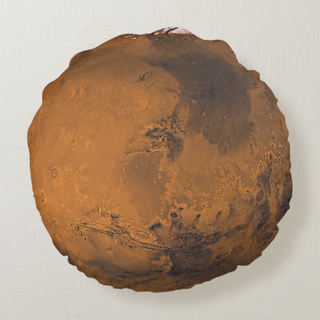 Mars Surface Planet Photo Round Pillow (Back)