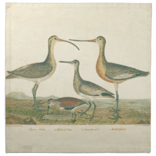 Marsh Bird Curlew Snipe Birding Cloth Napkin