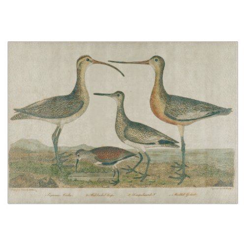 Marsh Bird Curlew Snipe Birding Cutting Board