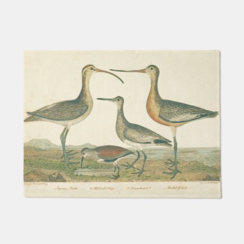 Marsh Bird Curlew Snipe Birding Doormat