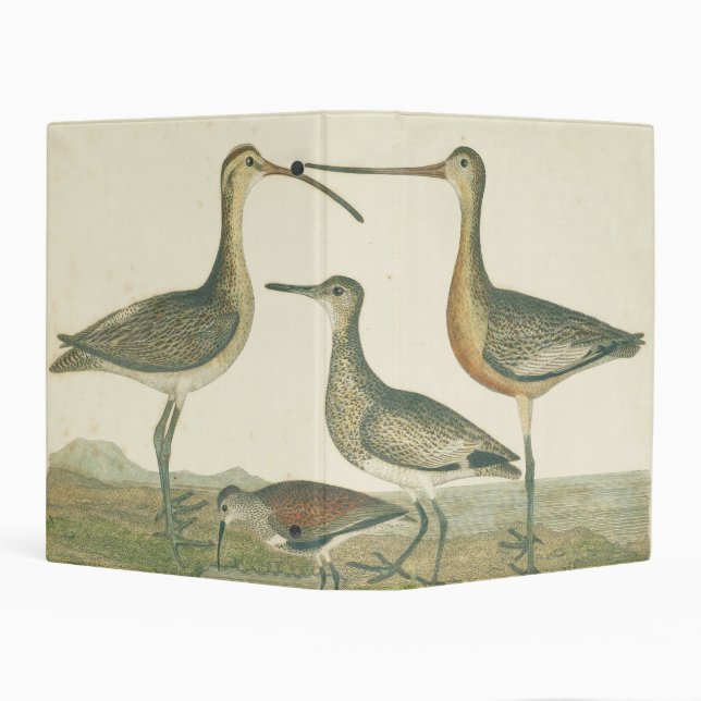 Marsh Bird Curlew Snipe Birding Mini Binder (Background)