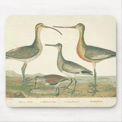 Marsh Bird Curlew Snipe Birding Mouse Pad