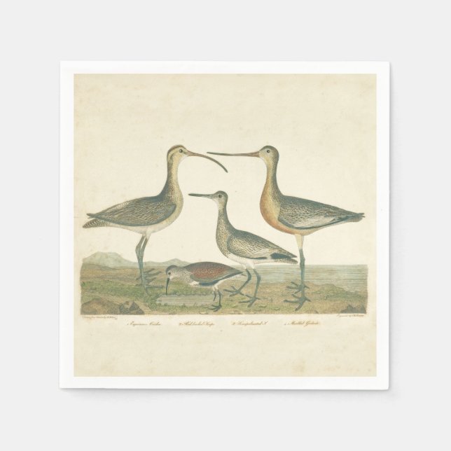 Marsh Bird Curlew Snipe Birding Paper Napkins (Front)