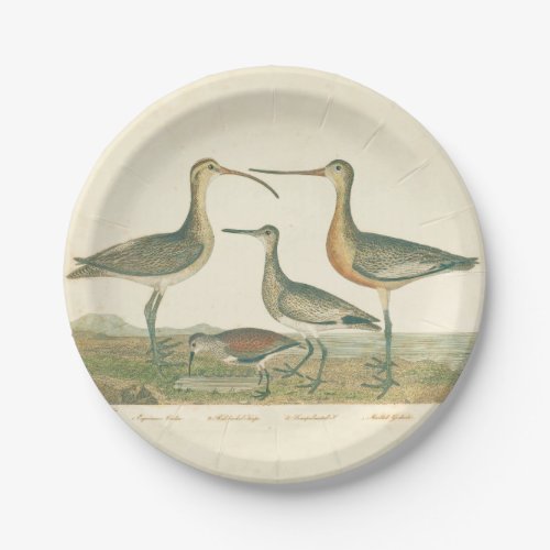 Marsh Bird Curlew Snipe Birding Paper Plates