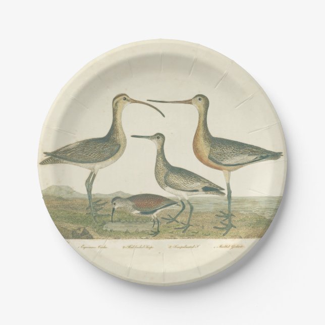 Marsh Bird Curlew Snipe Birding Paper Plates (Front)