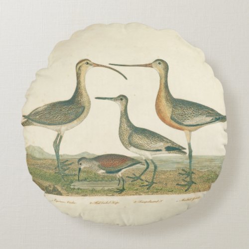 Marsh Bird Curlew Snipe Birding Round Pillow