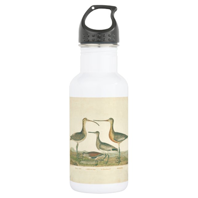 Marsh Bird Curlew Snipe Birding Stainless Steel Water Bottle (Front)