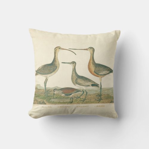 Marsh Bird Curlew Snipe Birding Throw Pillow