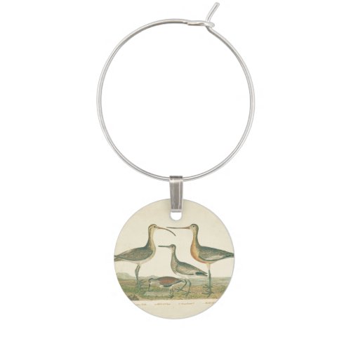 Marsh Bird Curlew Snipe Birding Wine Charm