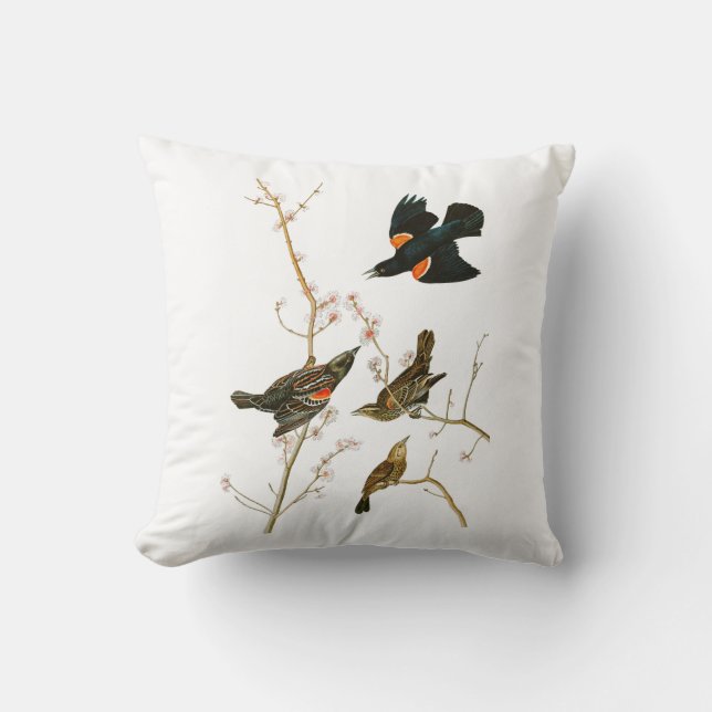 Marsh Blackbird John Audubon Birds of America Throw Pillow (Front)