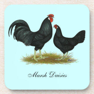Marsh Daisy Chickens Drink Coaster