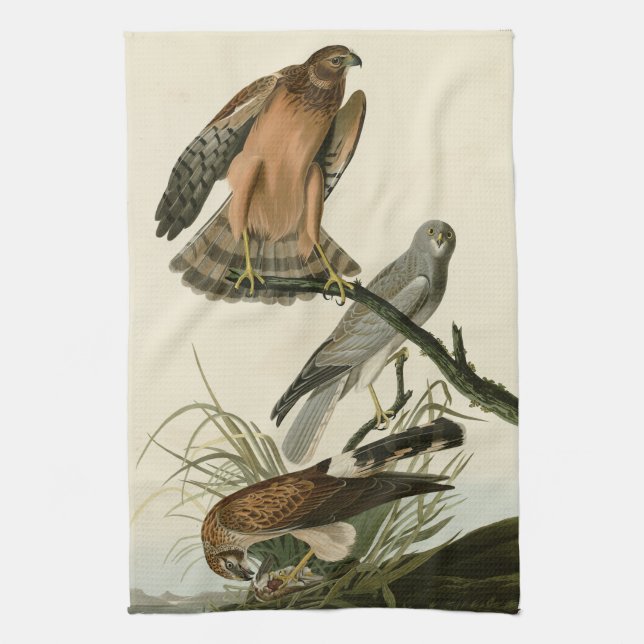 Marsh Hawk from Audubon's Birds of America Kitchen Towel (Vertical)