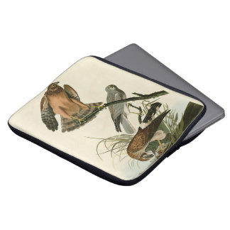 Marsh Hawk from Audubon's Birds of America Laptop Sleeve