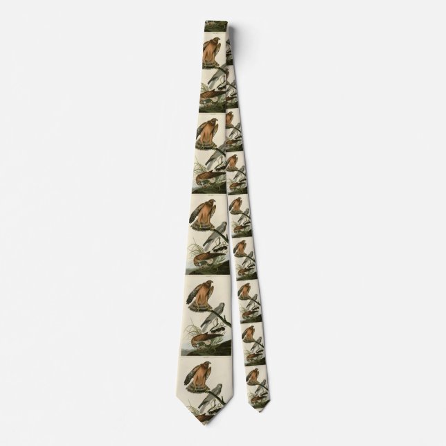 Marsh Hawk from Audubon's Birds of America Neck Tie (Front)