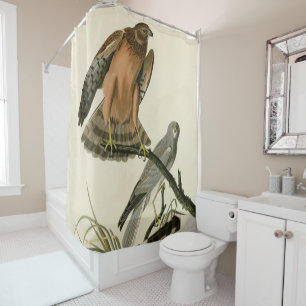 Marsh Hawk from Audubon's Birds of America Shower Curtain