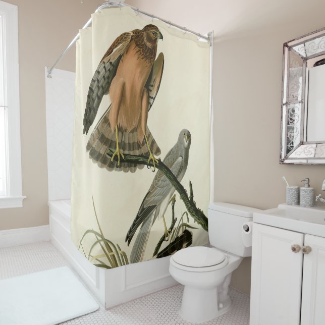Marsh Hawk from Audubon's Birds of America Shower Curtain (In Situ)