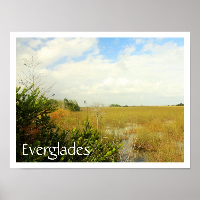 Marsh in Everglades National Park, Florida Poster (Front)