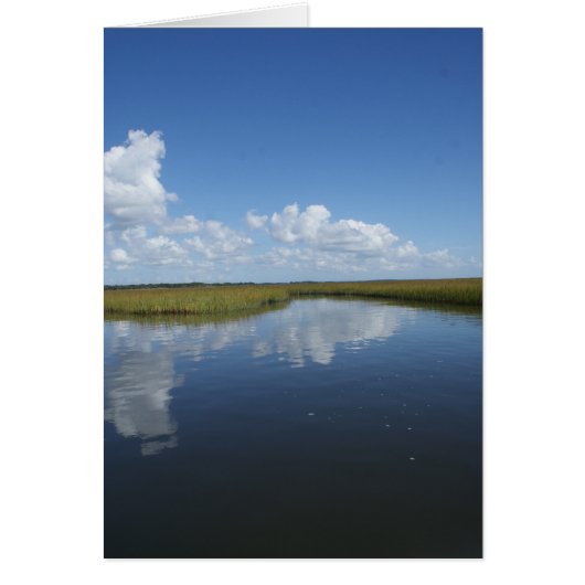 Marsh Mellow Cards (Front)