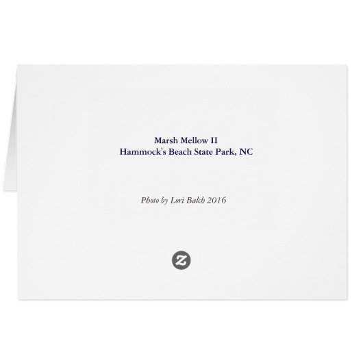 Marsh Mellow II (Back Horizontal)