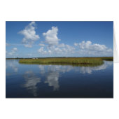 Marsh Mellow II (Front Horizontal)