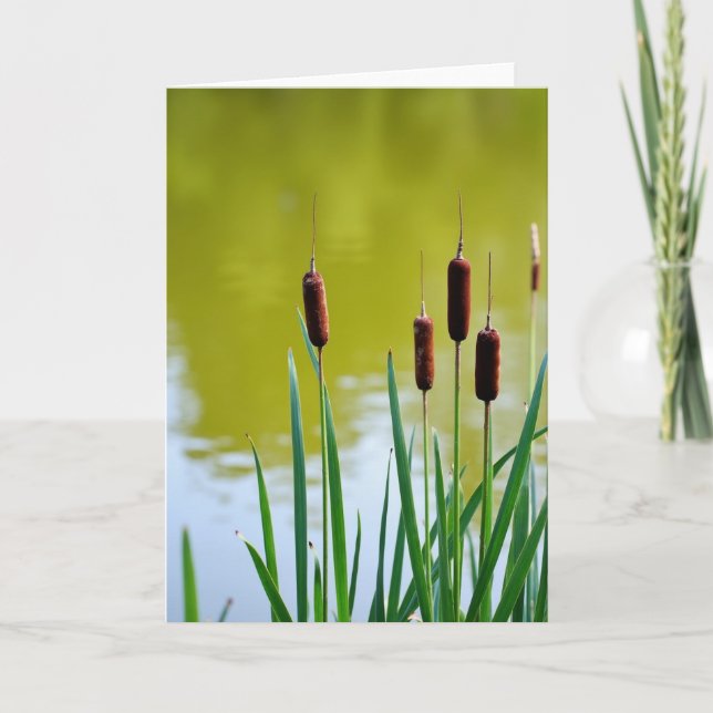 Marsh Mothers Day Scene Card (Front)