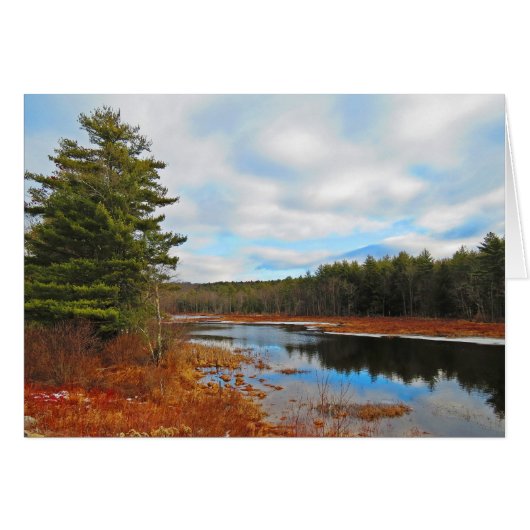 Marsh Stream Cards (Front Horizontal)