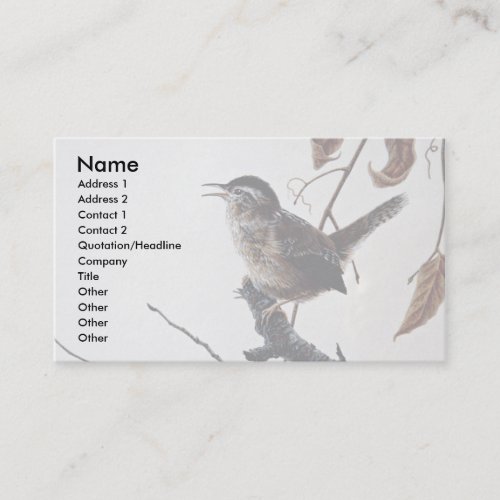 Marsh wren business cards