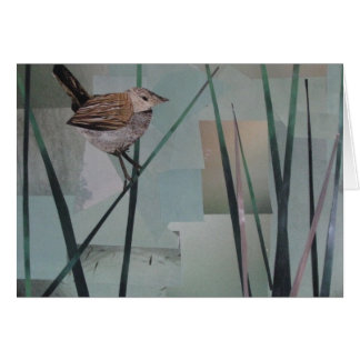 Marsh Wren Cards