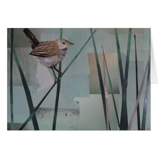 Marsh Wren Cards (Front Horizontal)