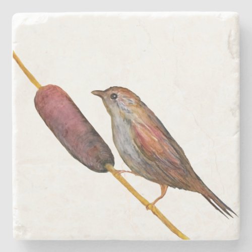 Marsh Wren Stone  Coaster