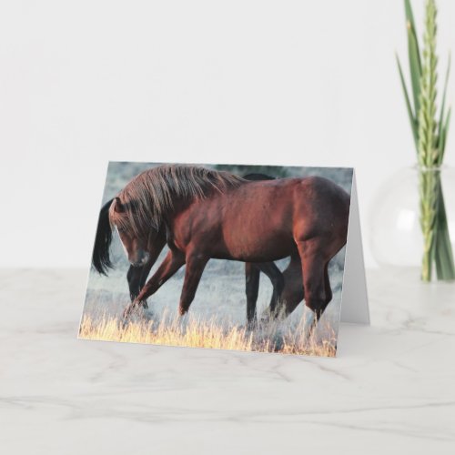 Marshal the Band Stallion Greeting card