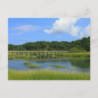 Marshes and Uncle Tim's Bridge, Wellfleet MA Postcard