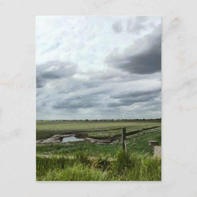 Marshes Postcard (Front)