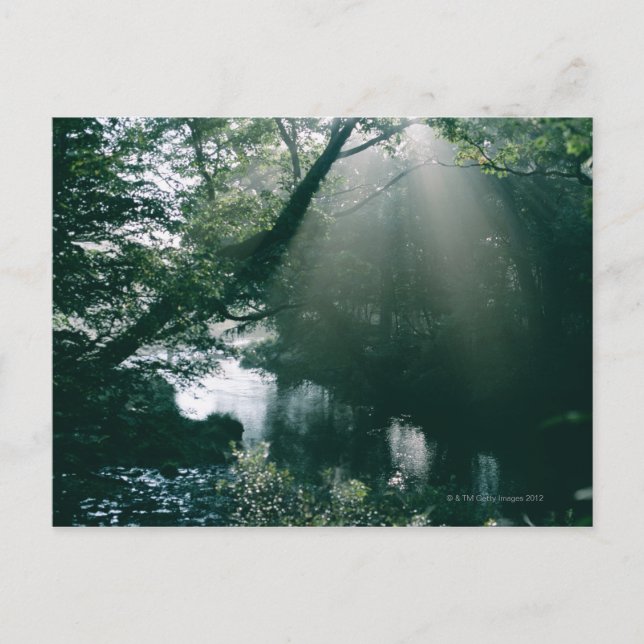 Marshland 3 postcard (Front)