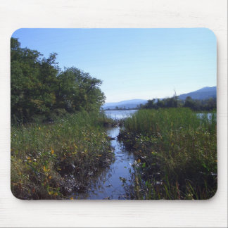 Marshland in New York Mouse Pad