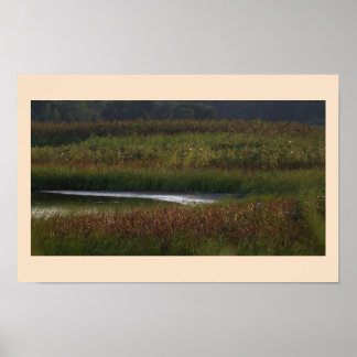 Marshland Photo Poster