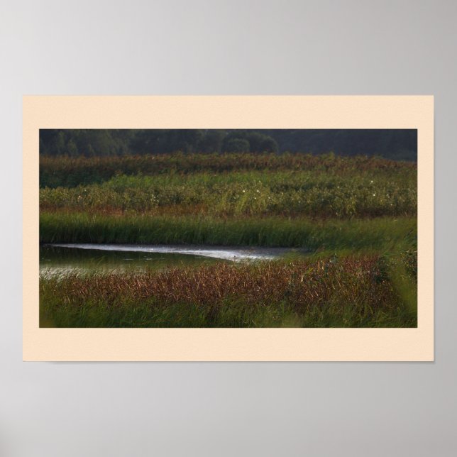 Marshland Photo Poster (Front)