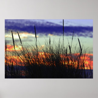 Marshland Sunset Poster