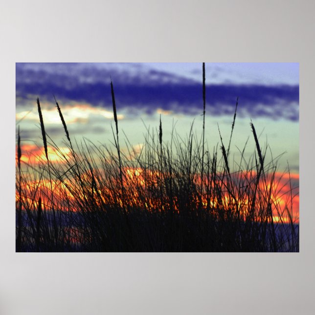 Marshland Sunset Poster (Front)