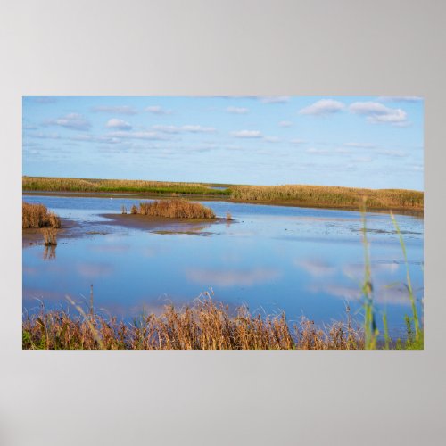 Marshland Waterscape Poster