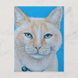 Marshmallow Cat Painting Postcard